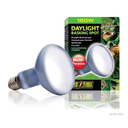 Hagen Exo Terra Daylight Basking Spot Lamp - R30 / 150 W