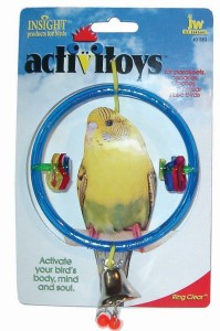 JW ActiviToy Ring Clear Bird Toy Small/Medium