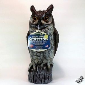 Dalen Gardeneer 16-Inch Molded Owl