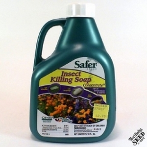 16 oz Safer Brands  Insect Killing Soap Concentrat