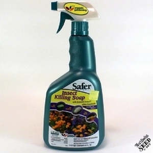 32 oz Safer Brands Insect Killing Soap RTU