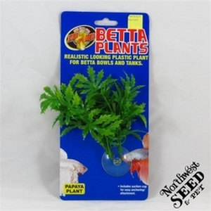ZooMed Betta Plant - Papaya