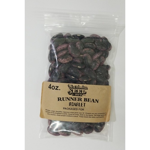 4oz Scarlet Runner Bean