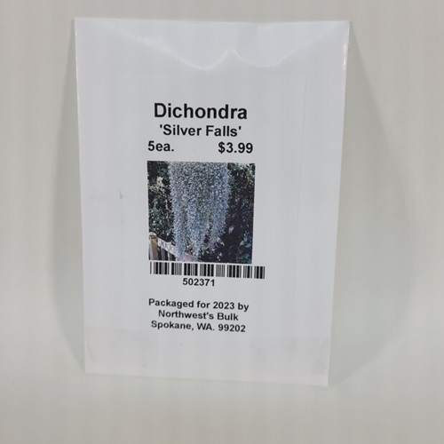 5ea Dichondra Silver Falls