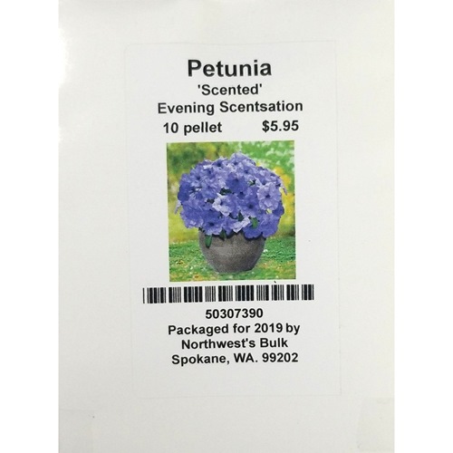 10ea Petunia Evening Scentsation