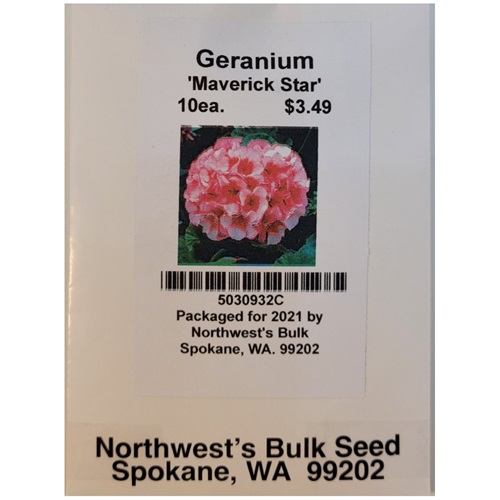 10ea Geranium Maverick Star