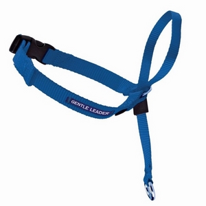 Premeir Pet Gentle Leader Headcollar Quick Release Small Royal Blue