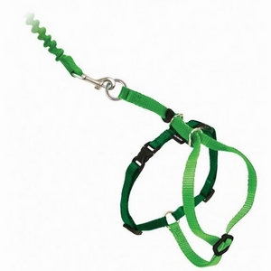 Premier Come With Me Kitty Harness & Bungee Leash Large Electric Lime