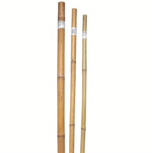 Bond® Super Bamboo Pole Plant Support - 1.5in Diam x 8ft H