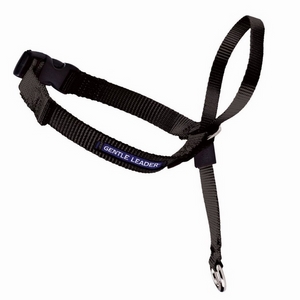 Premeir Pet Gentle Leader Headcollar Quick Release Small Black