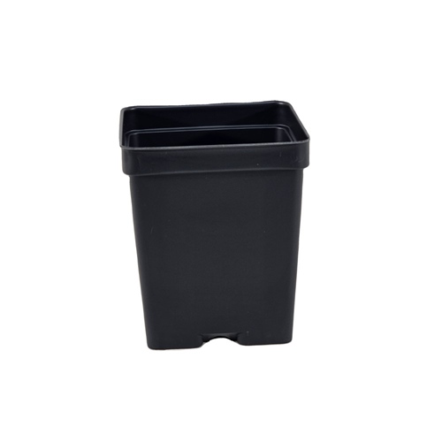 Square Black Form Pots - 4.5" Deep Square