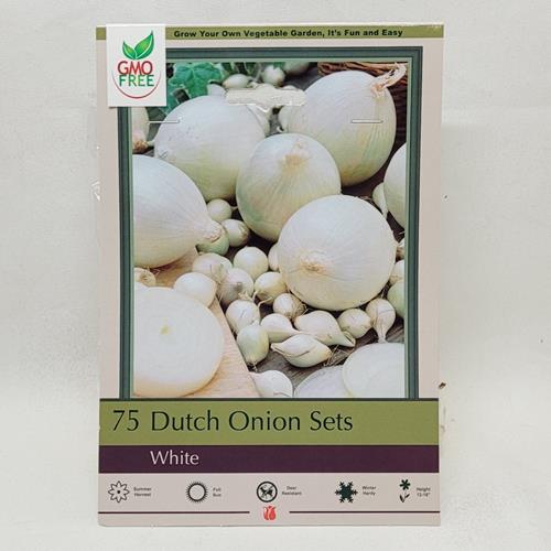 Dutch Onion White - 75 count