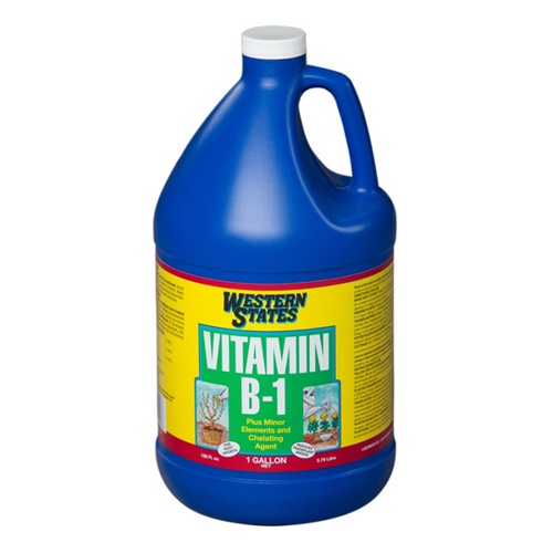 Liquinox® Western States Vitamin B-1 - 1gal - Jar