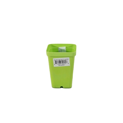 Sunpack Square Pot - 2.5in - Lime Green