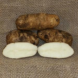1 lb Russet Burbank Certified Seed Potato