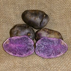 1 Lb All Blue Seed Potatoes