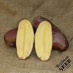 1 lb French Fingerling Certified Seed Potatoes