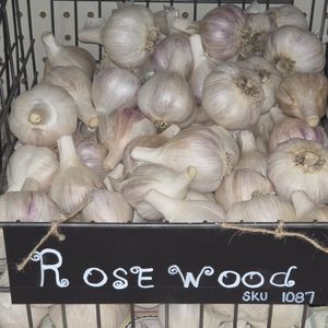 1lb Rosewood Seed Garlic