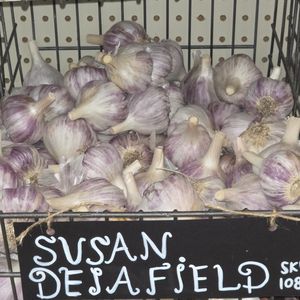 1lb Susan Delafield Seed Garlic