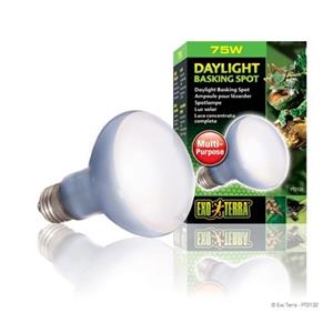 Hagen Exo Terra Daylight Basking Spot Lamp - R20 / 75 W
