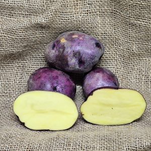 1lb Huckleberry Gold Certified Seed Potatoes