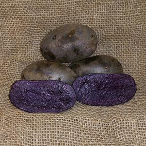 1 lb Purple Majesty Certified Seed Potatoes