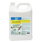 API Pond Algaefix - 1 gal