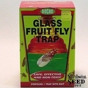 BioCare Glass Fruit Fly Trap With Lure