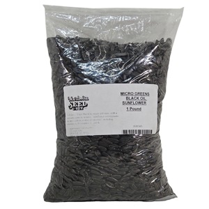 Northwest Seed & Pet Micro Greens Black Oil Sunflower - 1lb