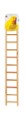Prevue Pet Products Birdie Basics Wood Ladder 11-Rung