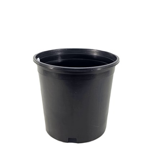 HC Companies® Trade G #2 Nursery Container - Black - 2gal
