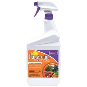 BONIDE Fung-onil Fungicide Ready-To-Use, 32 oz