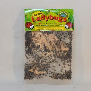 TipTop Ladybugs - 1500 per pk