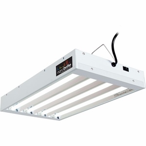 Agrobrite T5 2ft 4 Tube fixture with Bulbs