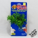ZooMed Betta Plant - Papaya