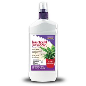 BONIDE Insecticidal Soap Houseplant Spray Ready-To-Use, 12 oz