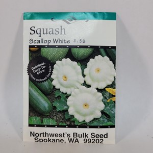 3.5gr Squash White Scallop