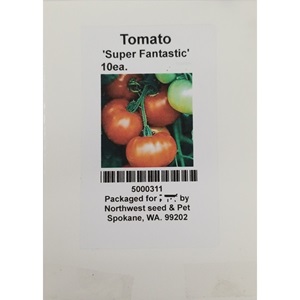 10 seed Tomato Super Fantastic