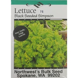 7gr Lettuce Black Seed Simpson