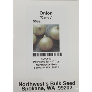 50 seeds Onion Candy Hybrid