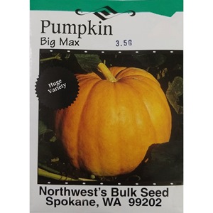 3.5gr Pumpkin Big Max