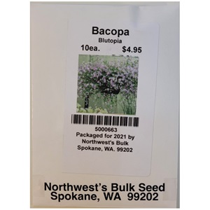 10 seed Bacopa Blutopia