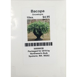 10 seed Bacopa Snowtopia