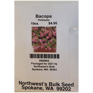10 seed Bacopa Pinktopia