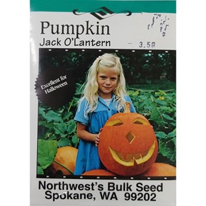3.5gr Pumpkin Jack O'Lantern