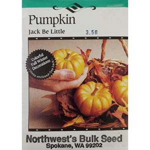 3.5gr Pumpkin Jack Be Little