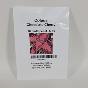 10ea Coleus Chocolate Covered Cherry