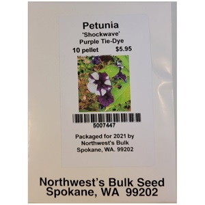 10ea Petunia Shock Purple Tie-Dye