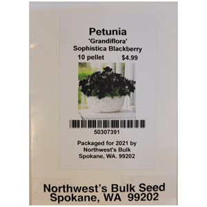 10ea Petunia Sophistica Blackberry