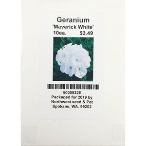 10ea Geranium Maverick White